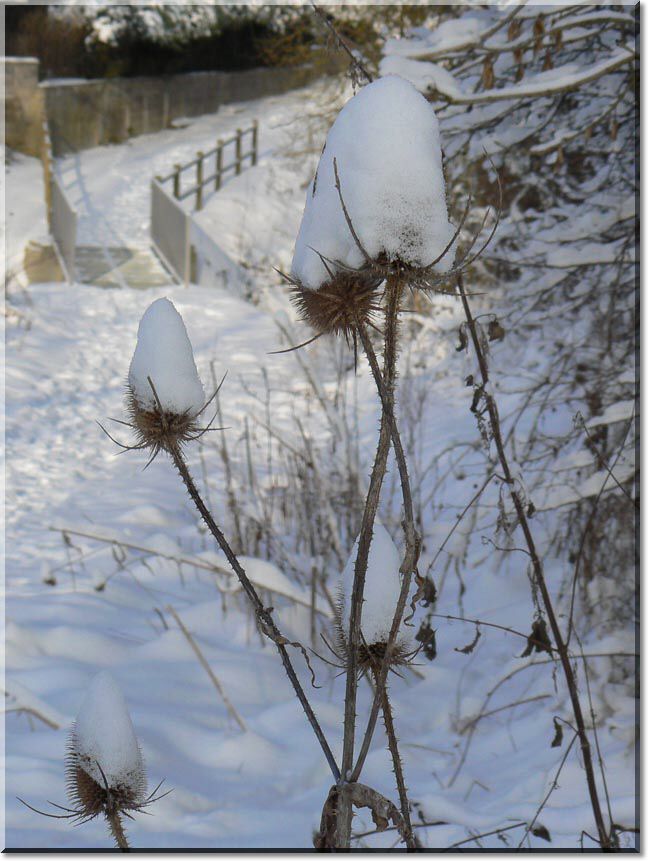 2010-12-26-ATTON-LA NEIGE-035.jpg